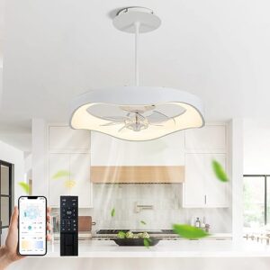 Ceiling Fan with Lights APP & Remote Control,20.5" Low Profile Flush Mount Ceiling Fan Dimmable